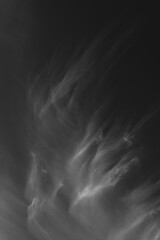 Black and White abstract wispy clouds