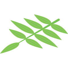 Green Leafy Branch with Multiple Oval Shaped Leaves on a Transparent Background