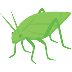 Green Grasshopper Insect Illustration on Transparent Background Simple Geometric Design