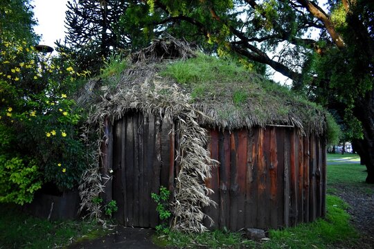 Peque&ntilde;a choza de madera ubicada en el sur de Chile.