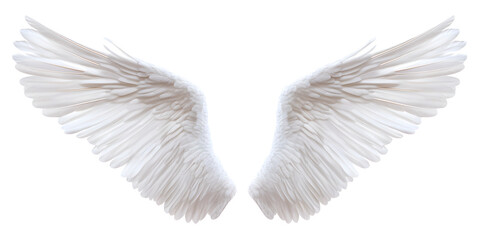 Stunning white angel wings spread wide, symbolizing purity, hope, and ethereal beauty for your next project.
