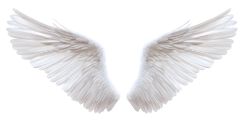 Stunning white angel wings spread wide, symbolizing purity, hope, and ethereal beauty for your next project.