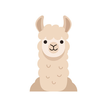 Cute cartoon llama or alpaca with a friendly face and fluffy fur, standing upright on a white background.