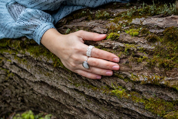 Woman’s hand with rings on tree bark, Dubrovitsky Forest, November