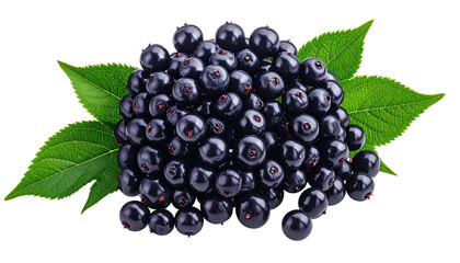 Shiny dark blue berries clustered with green leaves on a transparent background, showcasing their natural texture