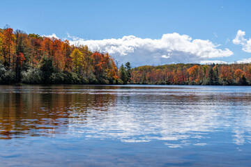 Obraz premium A calm lake reflects the brilliant autumn colors of surrounding trees and a sky filled with white clouds on a crisp fall day.