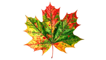 A vivid maple leaf displays a mix of red, green, and yellow hues against a dark background