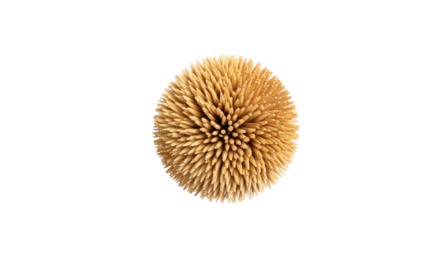 A spherical arrangement of wooden toothpicks radiates from a central point against a stark black background