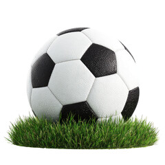 Fototapeta premium Black and white patterned ball sits atop a patch of green grass on a black backdrop