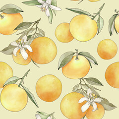 Seamless pattern with oranges. Orange fruit pattern.Mandarin print.Fabric design 