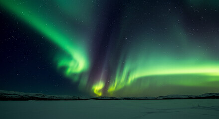 Fototapeta premium Breathtaking aurora borealis paints the night sky with vibrant green hues