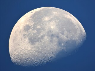 月齢２０日　朝日を浴び西の空に輝く下弦の月