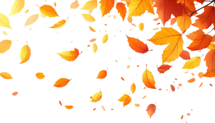 Autumn leaves with warm hues on a black background, some falling gracefully