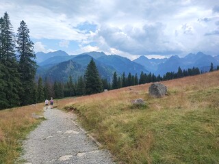hiking trail in the mountains