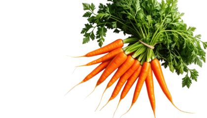 Fresh bunch of vibrant orange carrots with lush green leafy tops, neatly bundled against a dark backdrop