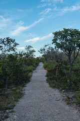 Fototapeta premium Trilha na cidade de Paranã, Estado de Tocantins, região das Serras Gerais, Brasil