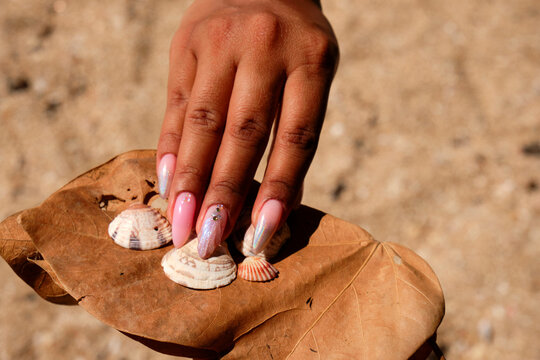 Female hand with pink nails on a dry leaf and seashells