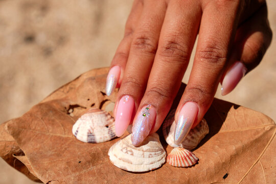 Female hand with pink nails on a dry leaf and seashells