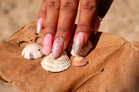 Female hand with pink nails on a dry leaf and seashells