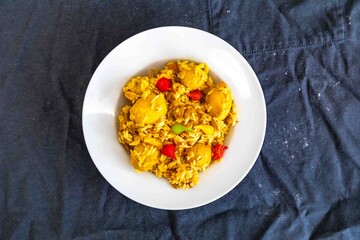 Traditional Brazilian dish of rice, chicken, and pequi (Brazilian caryocar), known as Goiana chicken stew.