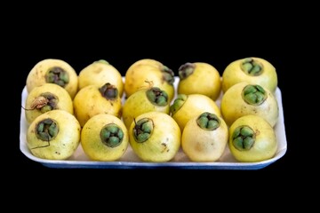 Yellow rose apple or white rose apple, Syzygium jambos. Native to Southeast Asia, this species belongs to the Myrtaceae family, a wild fruit with a rose petal flavor and aroma.