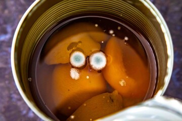 Spoiled, moldy canned peaches in syrup with fungal colonies