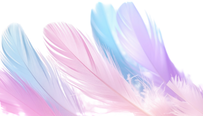 Pastel feathers cascade gracefully on a transparent background, blending light hues