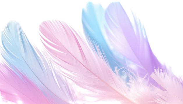 Pastel feathers cascade gracefully on a transparent background, blending light hues