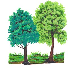 tree with green leaves