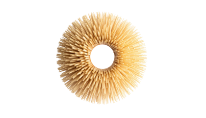 Top-down view of a mushroom cap with radial gills isolated against a stark black background