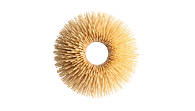 Top-down view of a mushroom cap with radial gills isolated against a stark black background