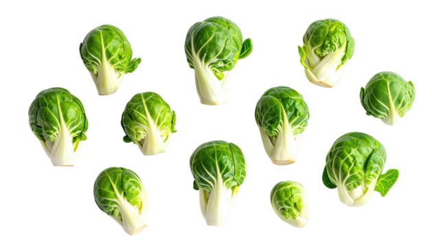 Brussels sprouts scattered on black small, green, leafy cabbages with short stems in a natural arrangement