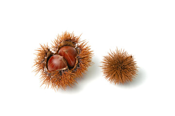 栗入りイガとイガ