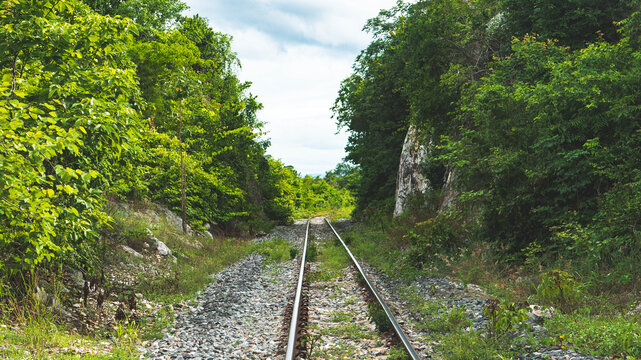 kanchanaburi train railroad tracks green jungle forest thailand - Powered by Adobe