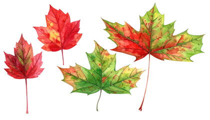 Fototapeta premium Watercolor painted leaves in autumn shades of green, red, and yellow arranged on a black background