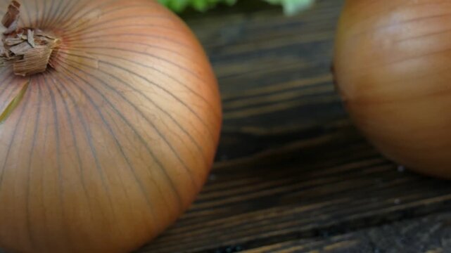 fresh onions on a wooden background