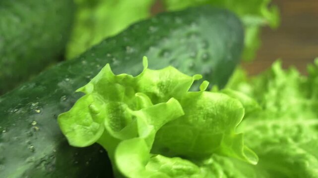 lettuce and cucumbers on a rotating background