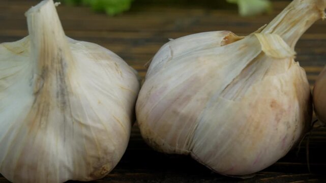 fresh garlic on a wooden background