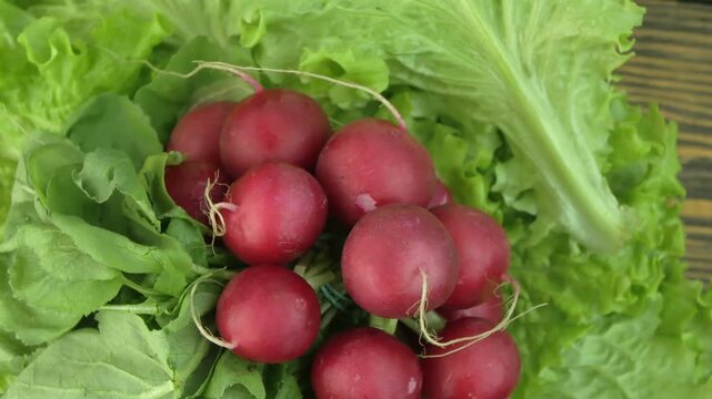 lettuce and radish on a rotating background