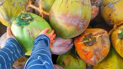 A child in blue striped sleeves touches a green gourd among a vibrant spread of yellow, orange, and...