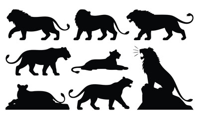 Lion and Lioness Silhouette Set, Various Lion Poses Silhouettes, Wild Cat Black Silhouettes, silhouette, vector, illustration.