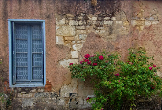 Old stone Wall with Blue window and green plant