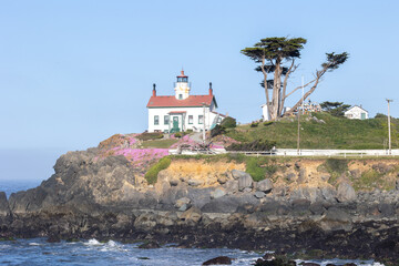 Lighthouse in Crescent City California with flower in bloom