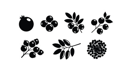 Black silhouette illustrations of various berries and fruits