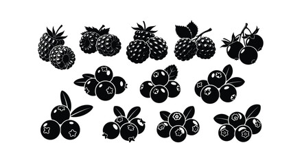 Collection of black and white berry illustrations