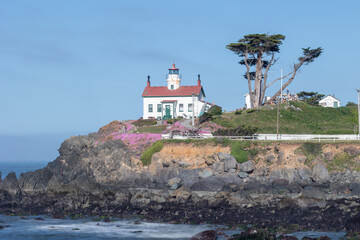 Lighthouse in Crescent City California with flower in bloom