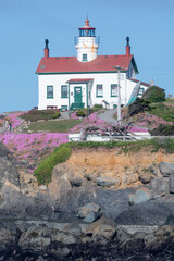 Lighthouse in Crescent City California with flower in bloom