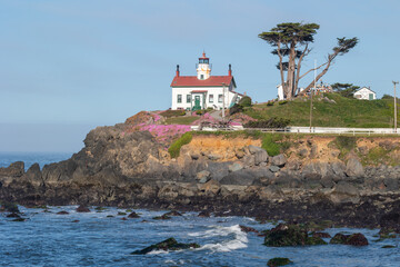 Lighthouse in Crescent City California with flower in bloom