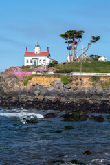 Lighthouse in Crescent City California with flower in bloom