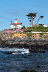 Lighthouse in Crescent City California with flower in bloom